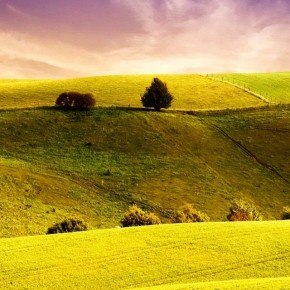 iPhone 5 Wallpaper: beautiful landscape