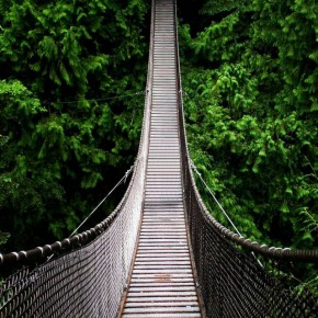 iPhone 5 Wallpaper (overig): forest bridge