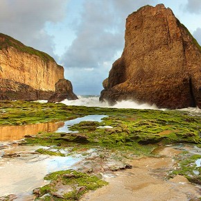 iPhone 5 Wallpaper: shark fin cove